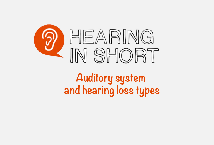 Auditory system and hearing loss types