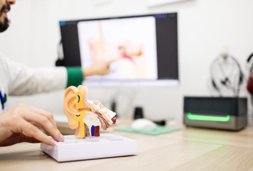 Appareils auditifs, implants auditifs : diverses technologies pour mieux entendre
